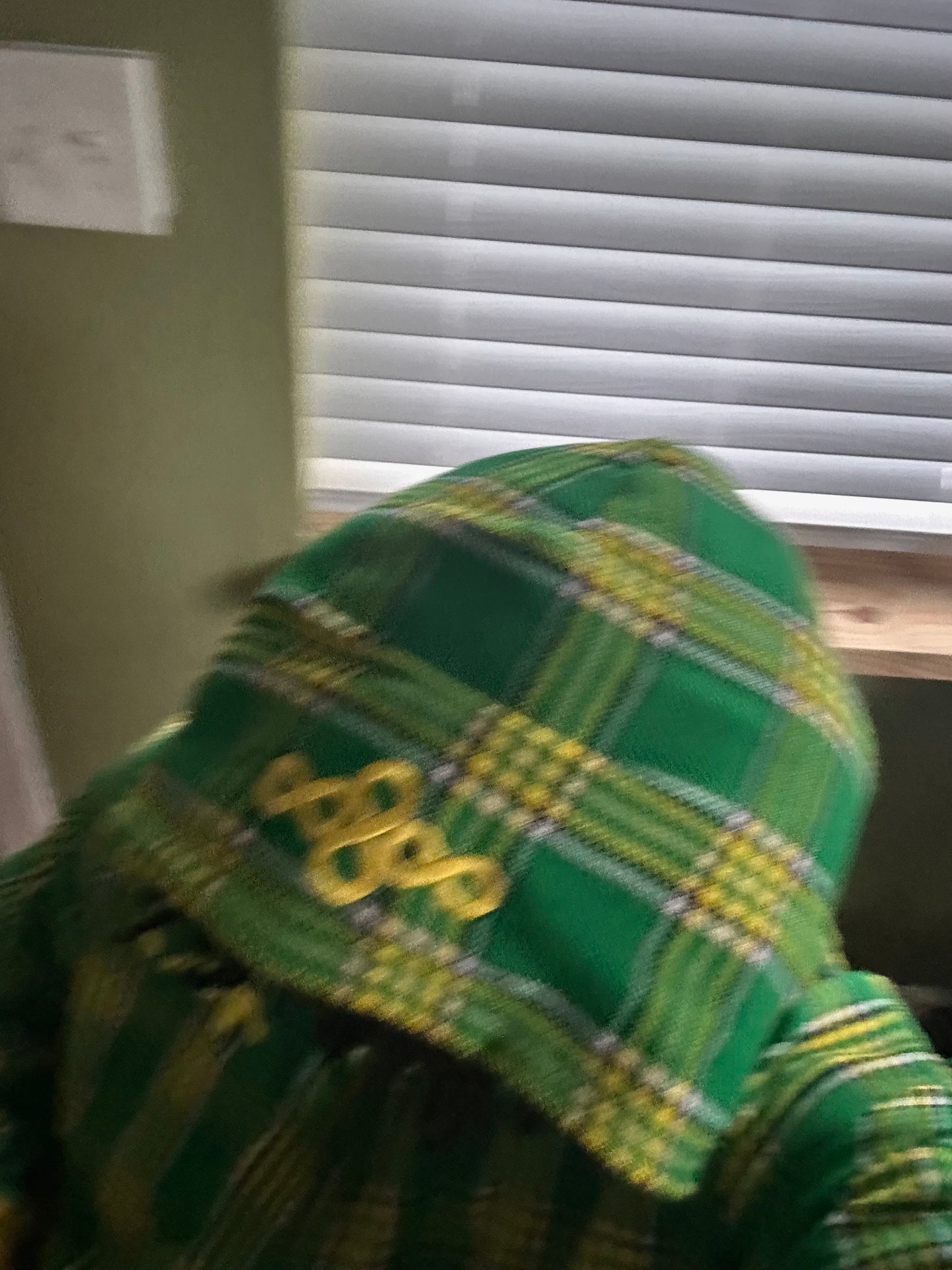 Green Koshi Zip Up